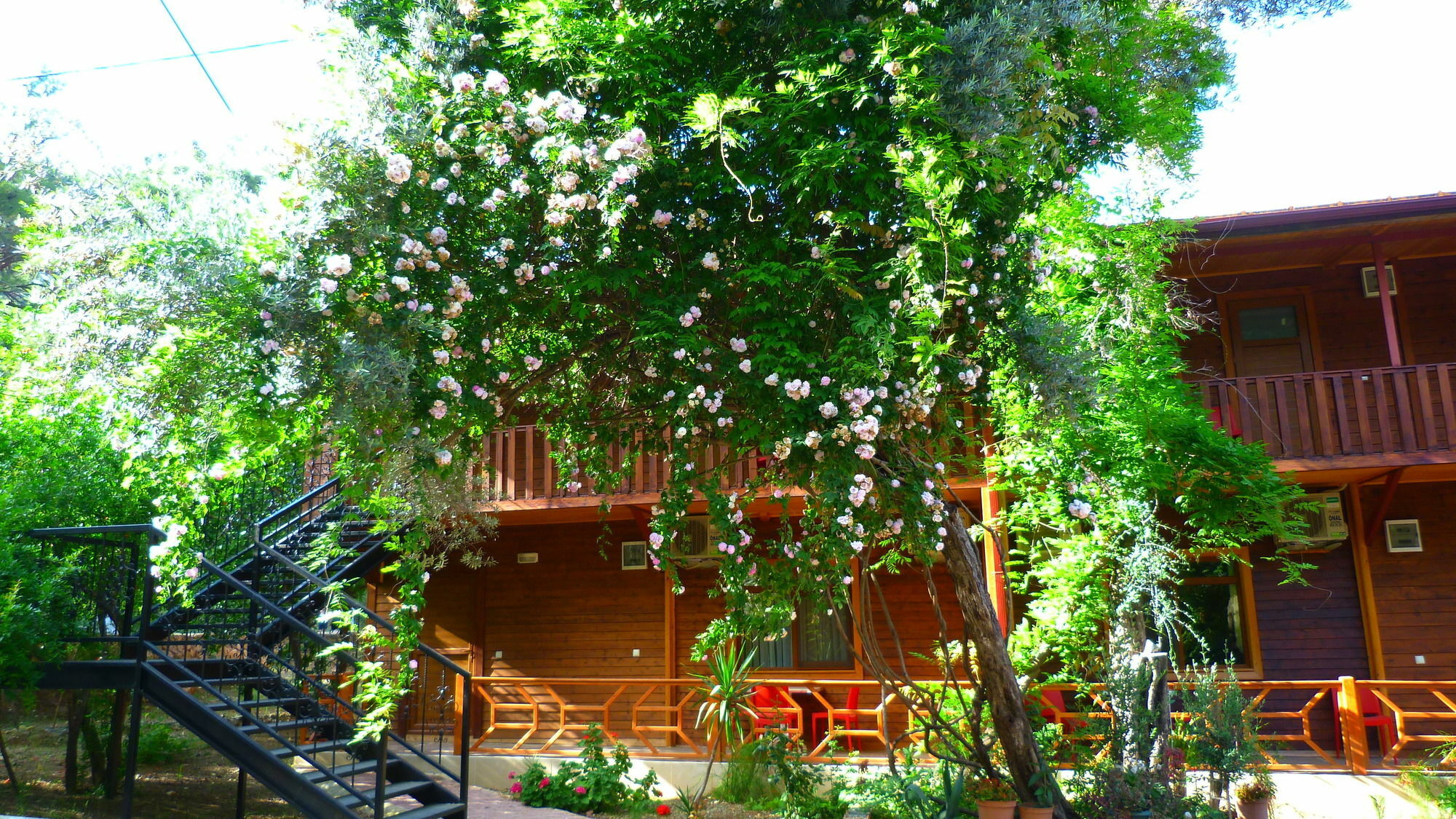 Cirali Simge Holiday Houses Экстерьер фото